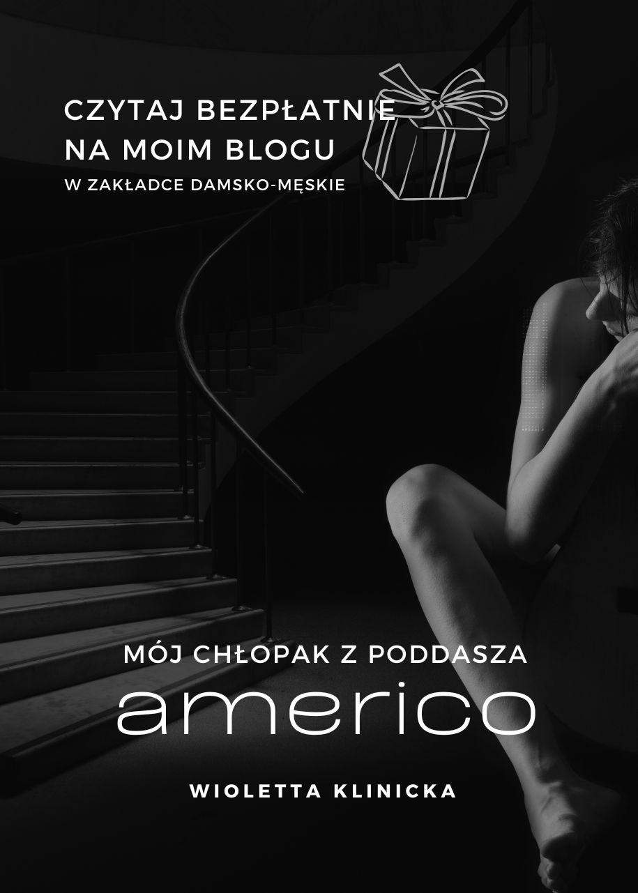 Americo, mój chłopak z poddasza autorka Wioletta Klinicka