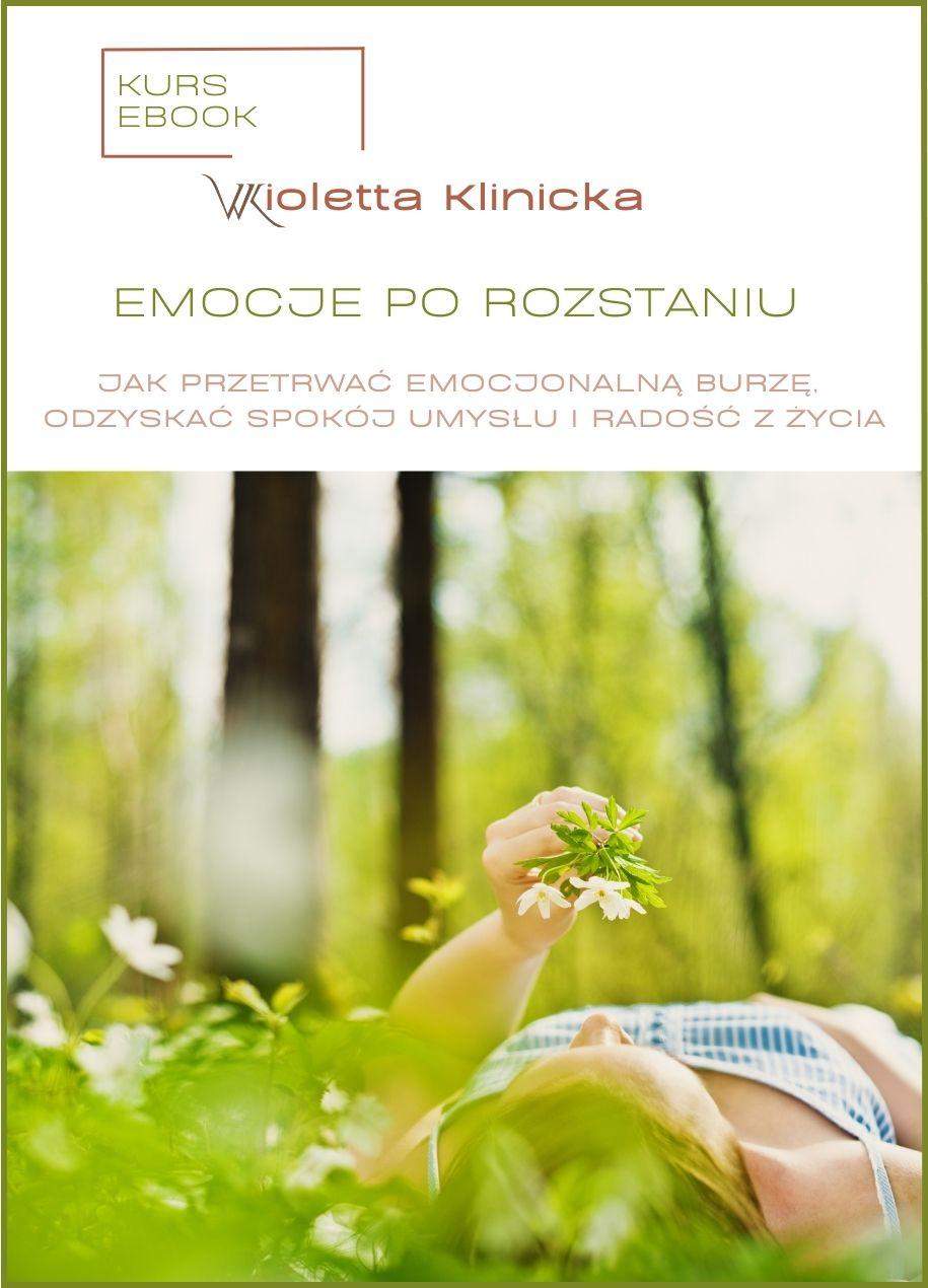 Emocje po rozstaniu - kurs ebook
